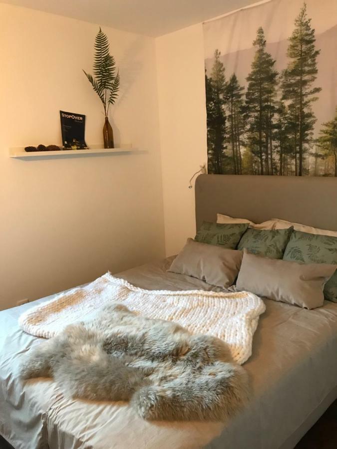 卡米尼亚Trajadinha - Swedish House别墅 外观 照片